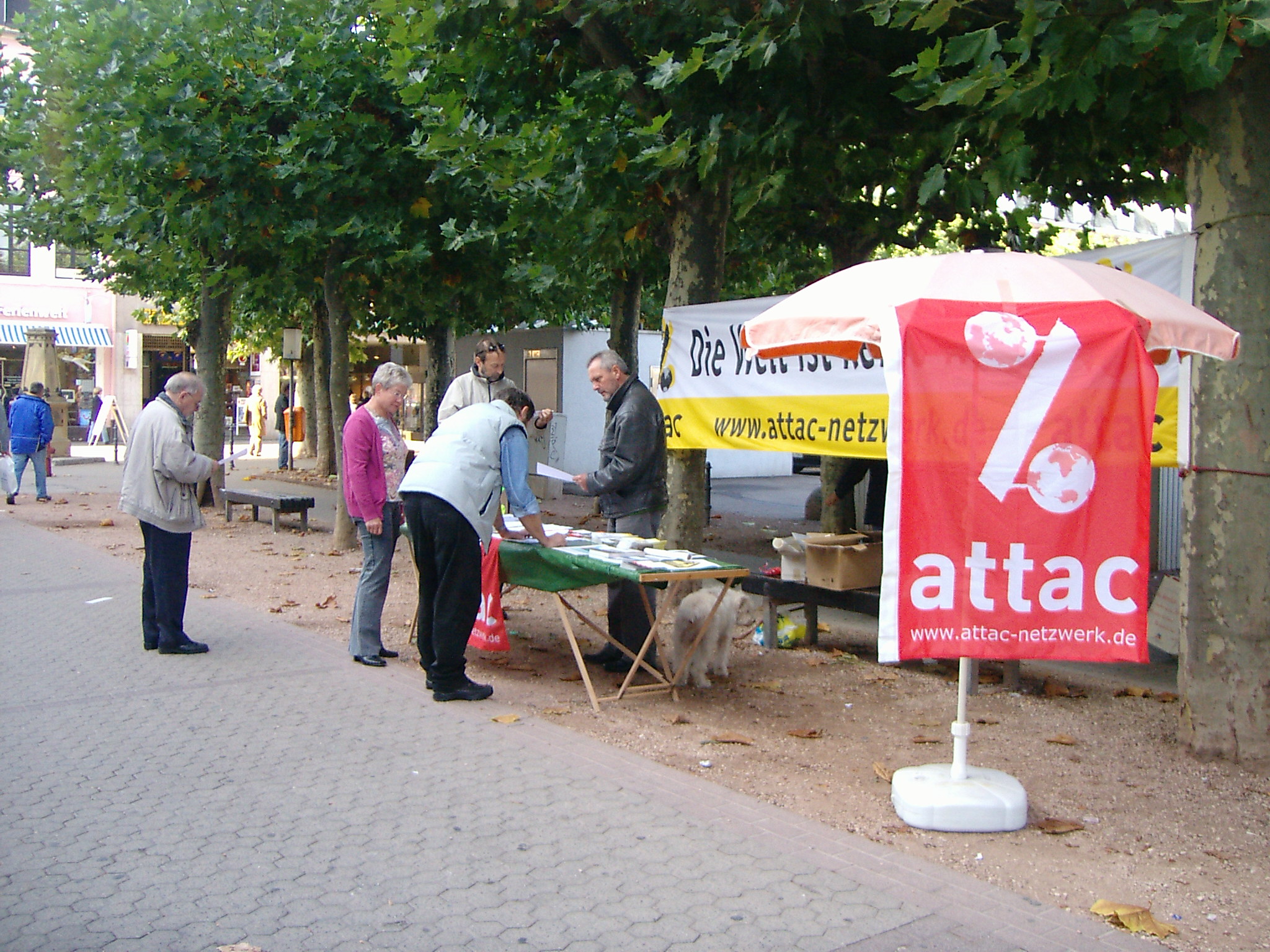 PIC00848