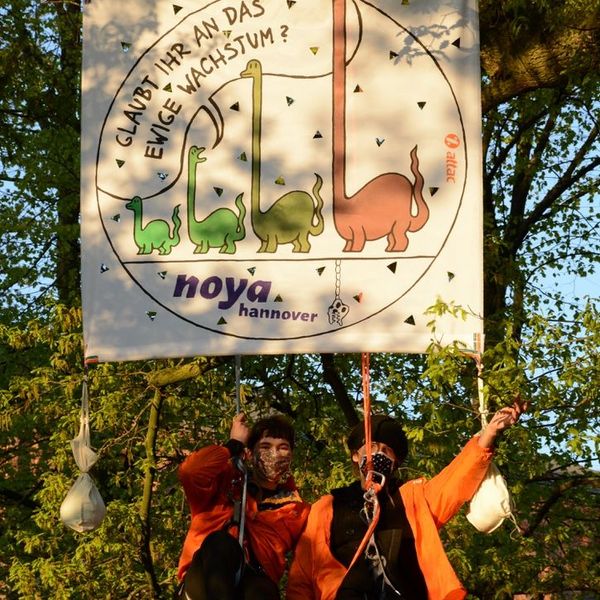 Zwei junge Attacies aus Hannover seilen sich aus einem Baum ab und haben dabei ein wachstumskritisches Transparent befestigt.