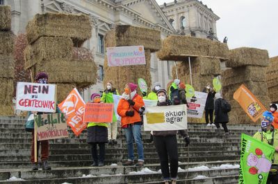 Vor dem Reichstag stehen mehrere Protestierende, in der Bildmitte Menschen mit Attac-Fahne und Schild gegen Pestizide bei Bayer und BASF