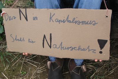 Demoschild mit dem Spruch "Das N in Kapitalismus steht für Naturschutz!"